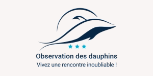 Observationdauphins